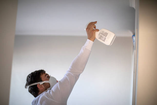 Best Mold Testing and Inspection Services in Iuka, MS