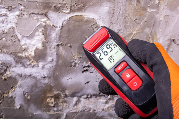 Best Residential Mold Remediation in Iuka, MS